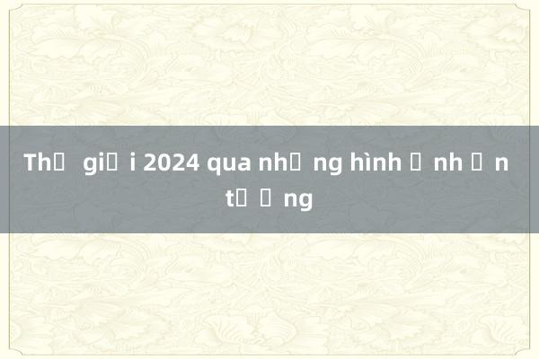 Thế giới 2024 qua những hình ảnh ấn tượng