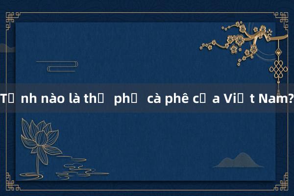 Tỉnh nào là thủ phủ cà phê của Việt Nam?