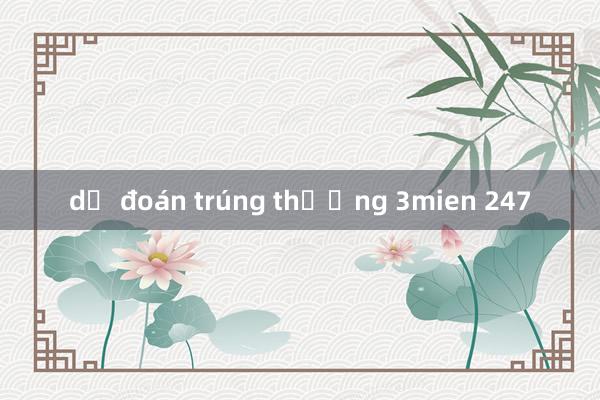 dự đoán trúng thưởng 3mien 247