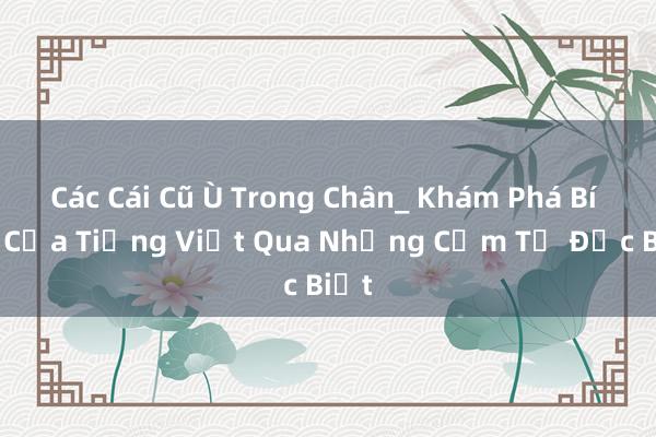 Các Cái Cũ Ù Trong Chân_ Khám Phá Bí Ẩn Của Tiếng Việt Qua Những Cụm Từ Đặc Biệt