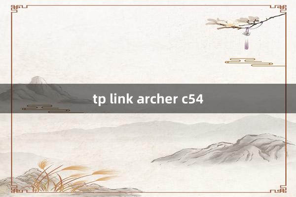 tp link archer c54