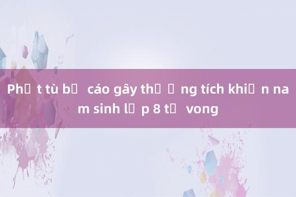 Phạt tù bị cáo gây thương tích khiến nam sinh lớp 8 tử vong