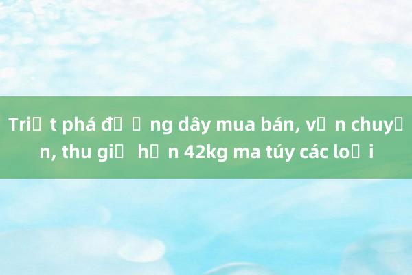 Triệt phá đường dây mua bán， vận chuyển， thu giữ hơn 42kg ma túy các loại