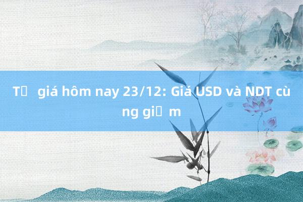 Tỷ giá hôm nay 23/12: Giá USD và NDT cùng giảm