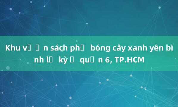 Khu vườn sách phủ bóng cây xanh yên bình lạ kỳ ở quận 6， TP.HCM