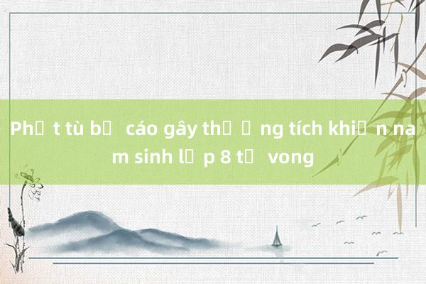 Phạt tù bị cáo gây thương tích khiến nam sinh lớp 8 tử vong