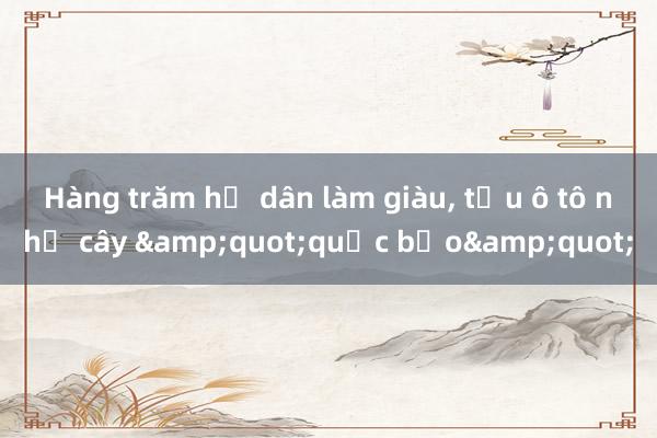 Hàng trăm hộ dân làm giàu, tậu ô tô nhờ cây &quot;quốc bảo&quot;