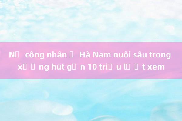 Nữ công nhân ở Hà Nam nuôi sâu trong xưởng hút gần 10 triệu lượt xem